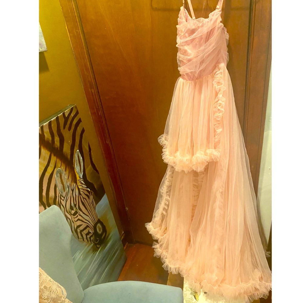 BRAND NEW!  Akira High-low tulle dress